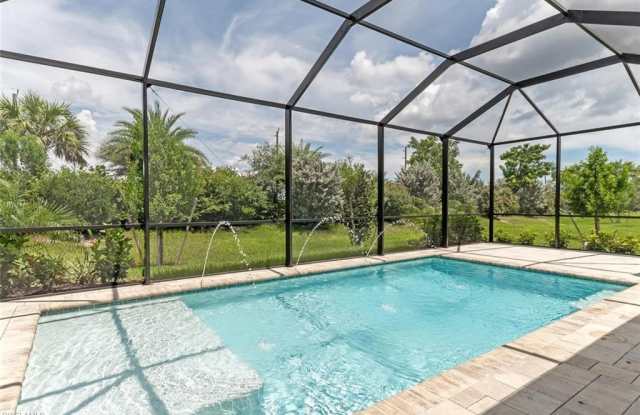14586 Tropical photos photos