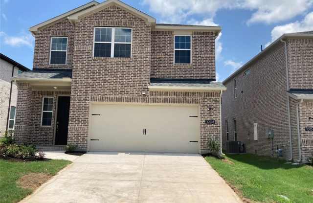 1008 Amenduni Lane - 1008 Amenduni Lane, Anna, TX 75409