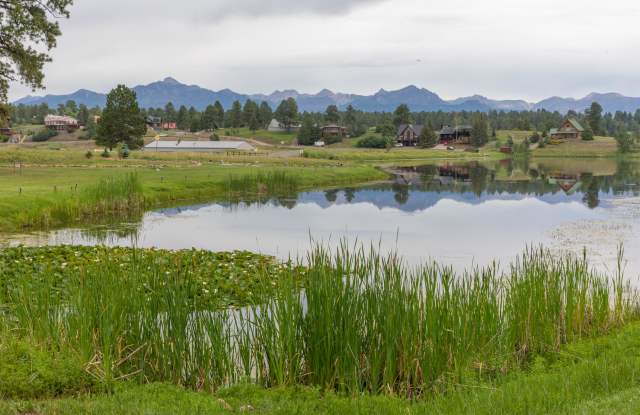 217 Pinon Causeway - 30103010 - 217 Pinon Causeway, Archuleta County, CO 81147