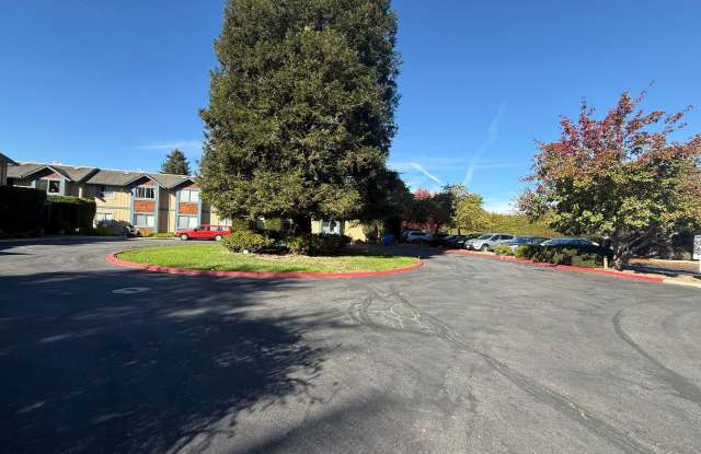 50% off 1st Months Rent! Low income 62+ 1 bedroom at Vista Prieta! photos photos 50% off 1st Months Rent! Low income 62+ 1 bedroom at Vista Prieta! photos photos