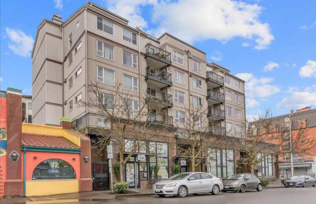 Modern 1 Bedroom and 1 Bathroom Unit Nestled in the Friendly Lake City Neighborhood of Seattle! photos photos