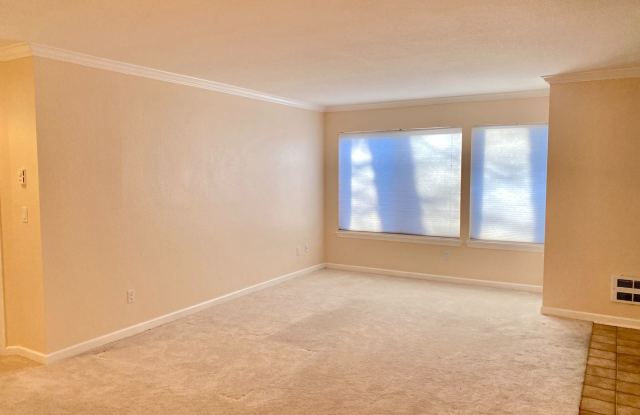 1250 Bellevue Way NE Apt 3 Gallery 4