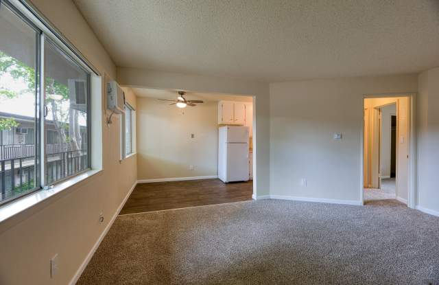 ReNew Arden photos photos