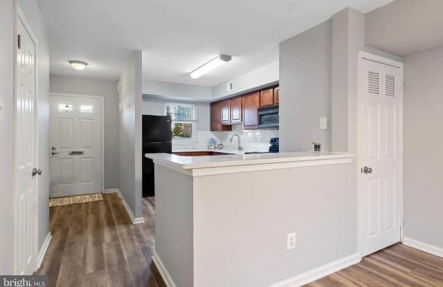 28 YORKTOWN COURT Gallery 4