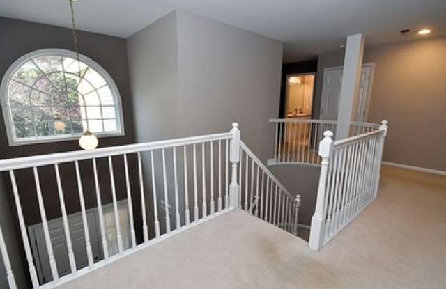 12 MC MANUS CT Gallery 4