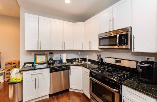 1033 Paulina - 1033 N Paulina St, Chicago, IL 60622