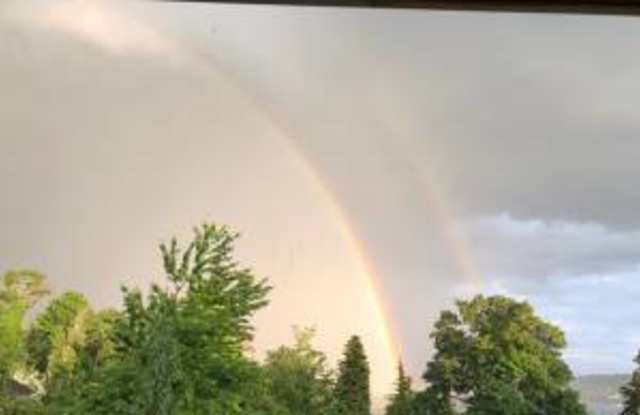 7942 Lake View Ln photos photos