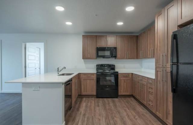 Black Feather photos photos