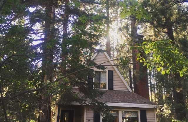 840 Elm Street - 840 Elm Street, Big Bear Lake, CA 92315