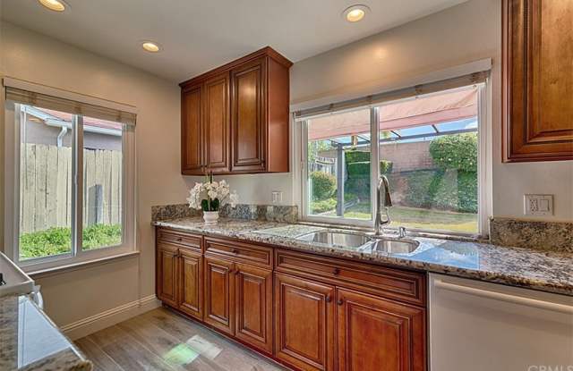 4516 Avenida De Las Flores Gallery 2