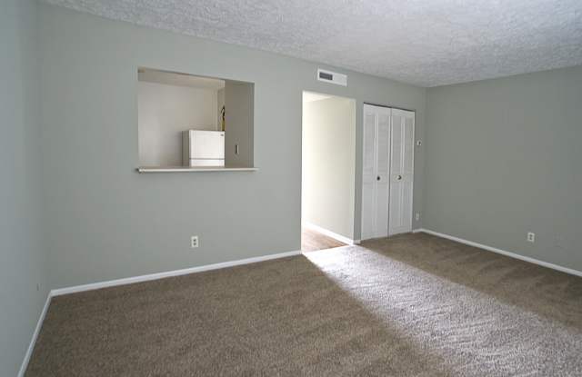 Charming One-Bedroom, One-Bathroom Apartment in Savannah photos photos