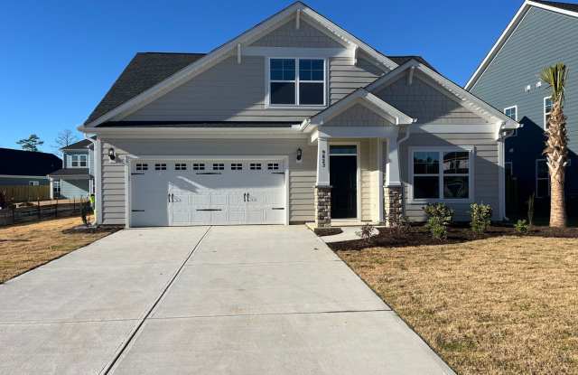 Beautiful New Home - 9823 Enchanted Way, Brunswick County, NC 28451
