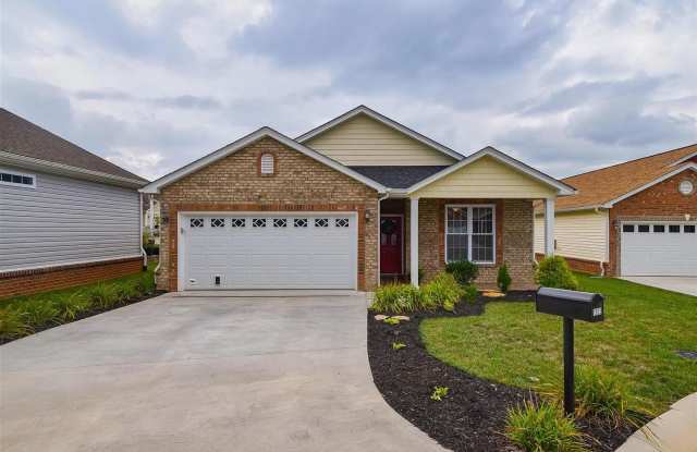 1020 Big Ben Drive - 1020 Big Ben Drive, Hollins, VA 24019