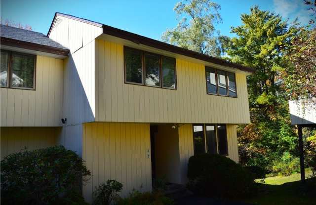 132 Pines Drive unit: 6-7 - 132 Pines Drive, Delaware County, NY 12421