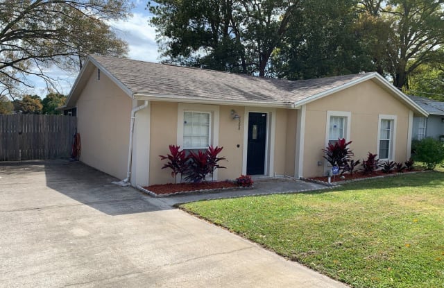 2505 Mabry Street - 2505 Mabry Street, Carrollwood, FL 33618