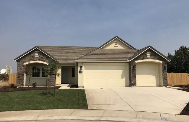 1600 Dolomite Ct. Los Banos: 4 Beds, 2 Baths, 3 Car Garage photos photos