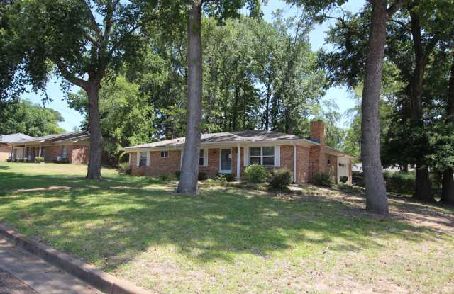 Beautiful 3 bedroom 2 bath in Tyler! Gallery 3