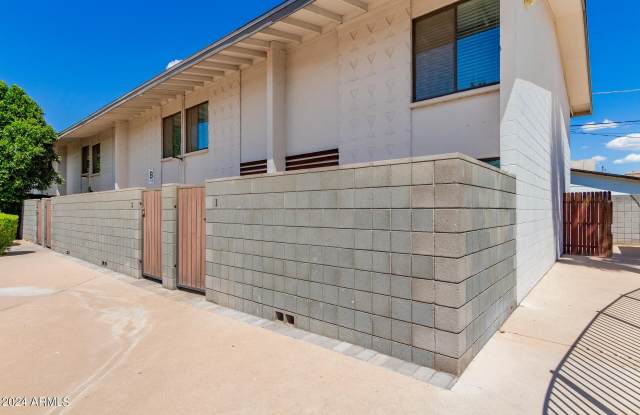 Orange Tree photos photos