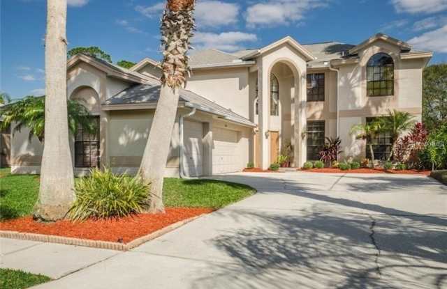 16105 TURNBURY OAK DRIVE - 16105 Turnbury Oak Drive, Keystone, FL 33556