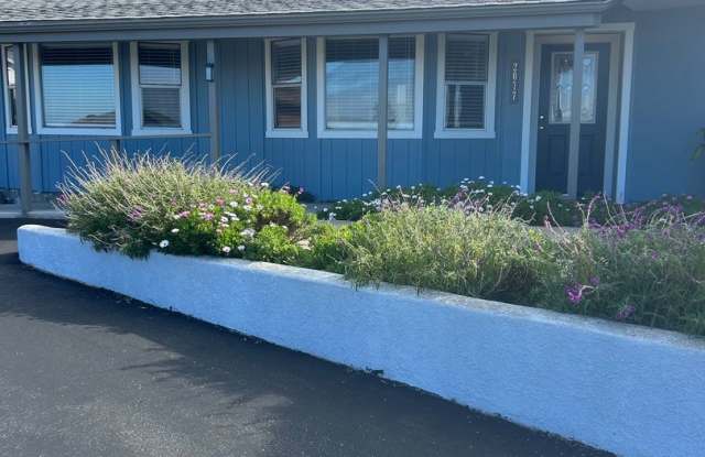 Large one bedroom with ocean views photos photos