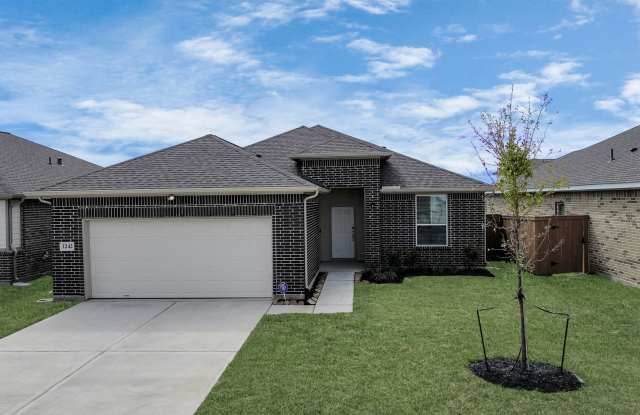 Drake - 1210 Crescent Peak Drive, Brazoria County, TX 77583