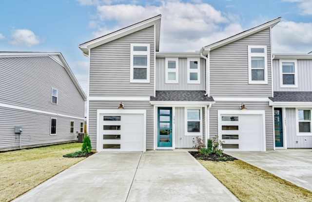 1439 Darrowby Way - 1439 Darrowby Way, Spartanburg County, SC 29301