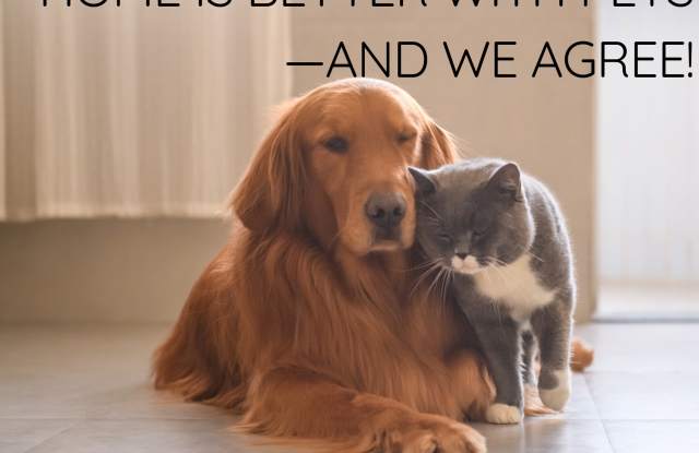 Wilson1518 (CWP) photos photos