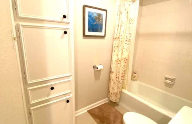 373 Fantail Loop Gallery 4