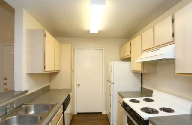 1932 Aquarena Springs Dr Gallery 3