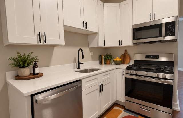 Renovated Logan Square 1BD — Block from the California Blue Line Gallery 2