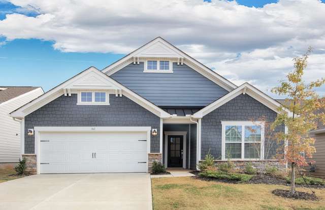 161 White Apple Way photos photos