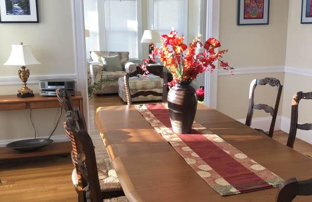 224 Albion St photos photos