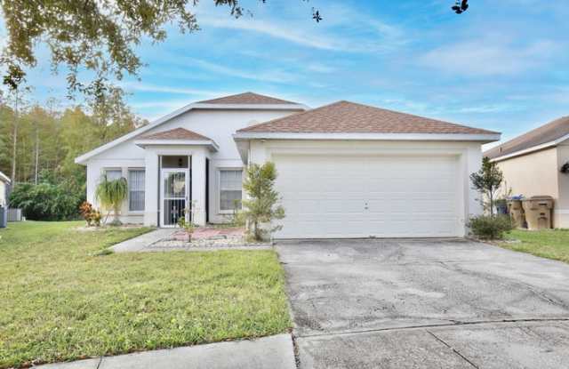 3120 Stern Court - 3120 Stern Court, Buenaventura Lakes, FL 34743