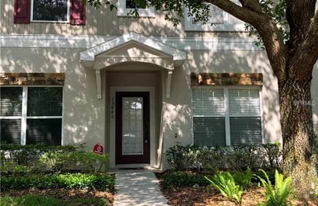 15842 FISHHAWK FALLS DRIVE - 15842 Fishhawk Falls Drive, Fish Hawk, FL 33547