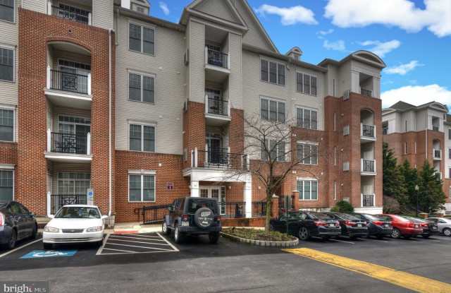 M Property Services photos photos