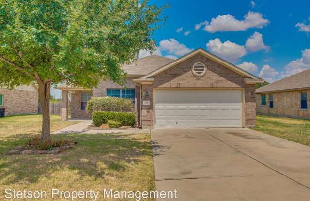311 Gainer Drive - 311 Gainer Drive, Hutto, TX 78634