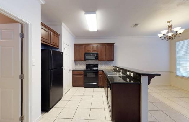 145 Forest photos photos