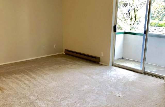 Charming & Spacious 1-Bedroom Apartment in Wonderful Ballard Location Gallery 4