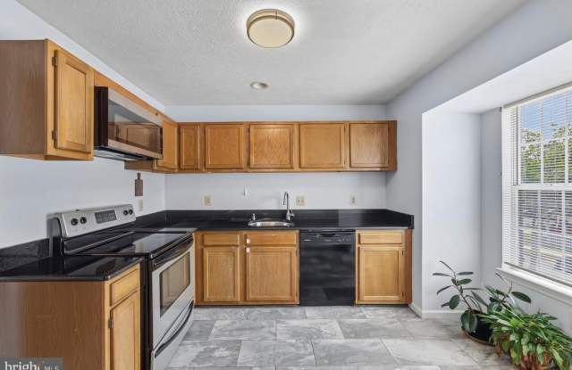 1518 DEEP GORGE CT Gallery 4