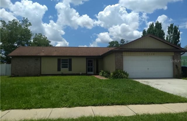 12125 Delaware Woods Lane - 12125 Delaware Woods Lane, Meadow Woods, FL 32824