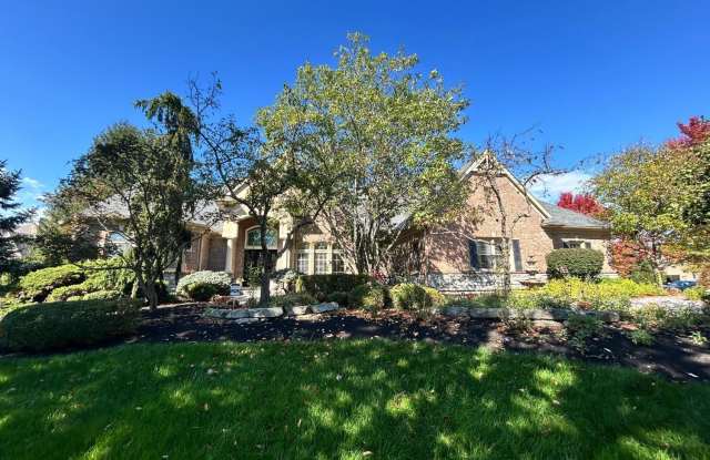 4729 Raynor Court Gallery 1