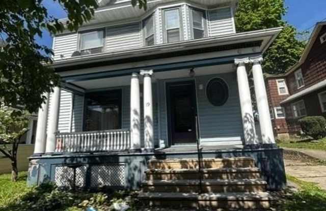 19 Edwards Street photos photos