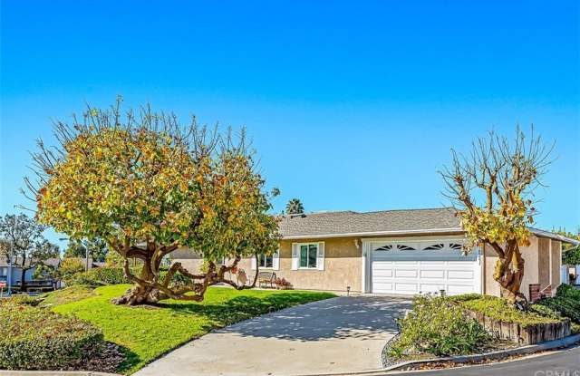 3301 Paseo Halcon - 3301 Paseo Halcon, San Clemente, CA 92672