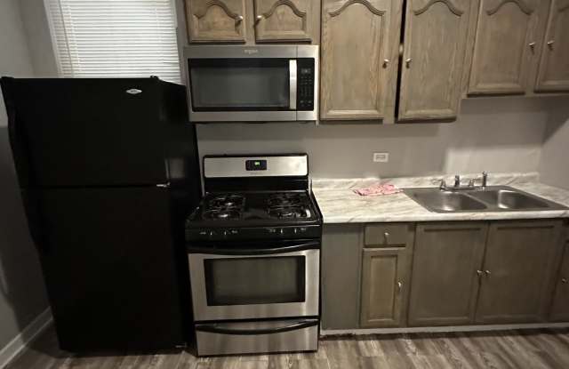 4254 South Cottage Grove Avenue - 1Unit 2 Gallery 3