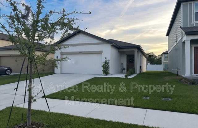 35552 Shade Fern La photos photos 35552 Shade Fern La photos photos