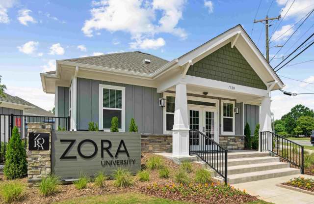 Zora University Gallery 2