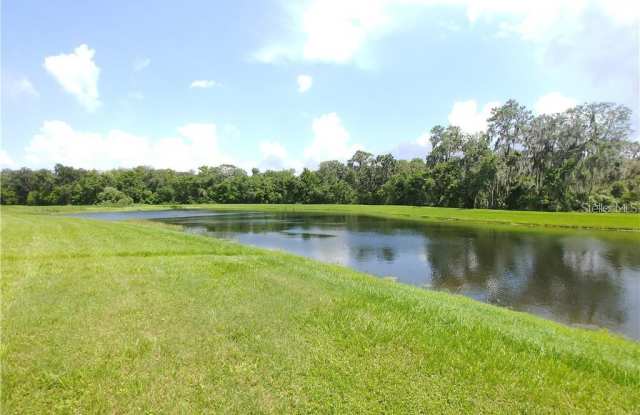 5846 FISHHAWK RIDGE DRIVE Gallery 2