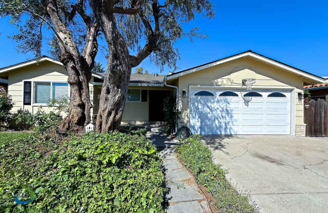 $5295 - Beautiful 4 Bed/2 Ba Cambrian Park Home Available Now! photos photos
