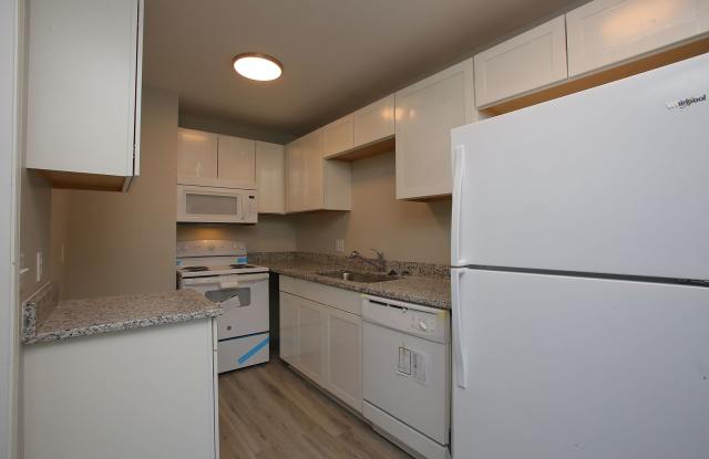 Patricia Apartments Gallery 4