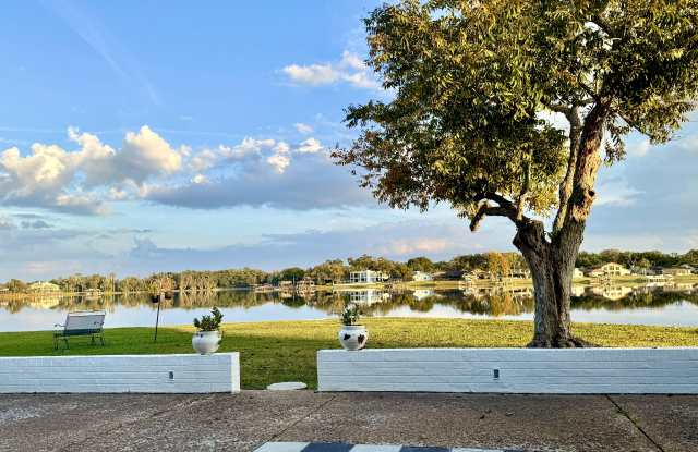 13815 Good Life Road photos photos